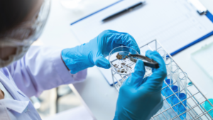 Brandenburger Innovationspreis